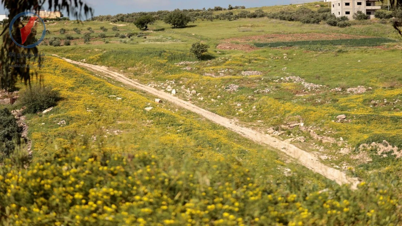 توقعات بطقس معتدل يسود معظم المناطق حتى نهاية الأسبوع الجاري